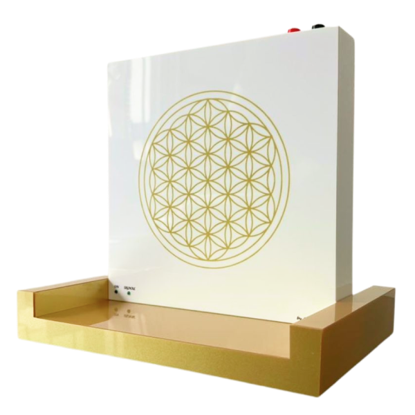 Quantum Box